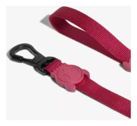 Correa Para Perro Bordeau Zeedog Talla Xs - Imagen 4