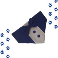 Bandana Smoking Azul Mascotas | Año Nuevo Accesorio Collar