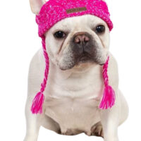 Gorro De Invierno Para Mascotas | Gorro De Lana Color Fucsia