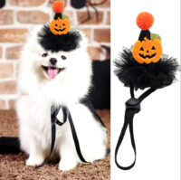 Gorro Disfraz Brujita Perro Gatita Halloween Original Único - Imagen 3