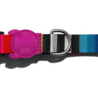 Collar Para Perro Zeedog Modelo Prisma Talla M
