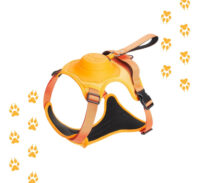 Arnés Para Perro Y Correa Retráctil Integrada | Talla M - Imagen 6