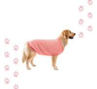 Sweater Para Mascotas | Corazones Rosa Xs-s-m-l - Imagen 24