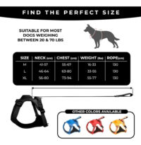 Arnés Para Perro Y Correa Retráctil Integrada | Talla M - Imagen 5
