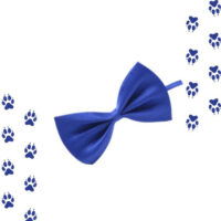 Corbatines Para Perros O Gatos - Imagen 24