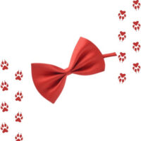 Corbatines Para Perros O Gatos - Imagen 3