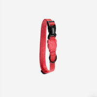 Collar Para Perro Coral Zeedog Talla L | Large Neon Coral
