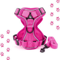 Juego De Arnés Y Correa Para Gatos O Perros