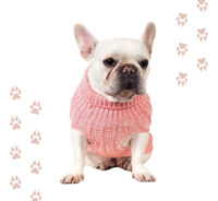 Sweater Para Mascotas | Chaleco Talla Xs Para Perros O Gatos - Imagen 14
