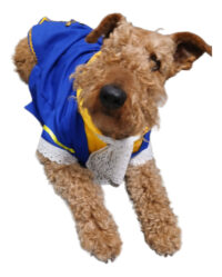 Disfraz Bestia Disney Mascotas Perro Grande Principe Azul - Imagen 4
