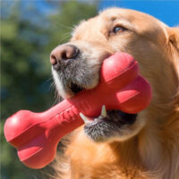 Kong Goodie Juguete Hueso Clásico Rellenable Perro Mediano Color Rojo - Imagen 3
