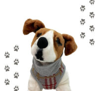 Kimba Eco Chaleco Para Mascotas Perros Gatos Talla M - Imagen 16