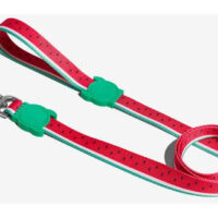 Correa Suave Resistente Para Perros Zeedog Leash Extra Small Color Lola