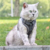 Juego De Arnés Y Correa Para Gatos O Perros - Imagen 23