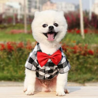 Ropa Para Perros O Gatos | Camisa A Cuadros Para Mascotas - Imagen 14