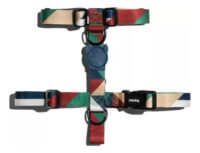 Arnés Para Perro Pacco H-harness Zeedog Talla Xs