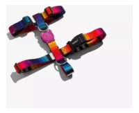 Arnés Para Perro Prisma H-harness Zeedog Talla Xs - Imagen 4