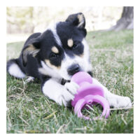 Kong Puppy Binkie Talla M - Celeste - Imagen 9