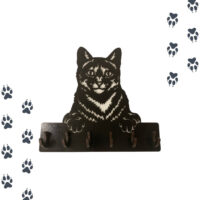 Porta Llaves Y Correas De Gato | Gato Domestico