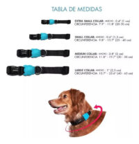 Correa Anti Tirones Honey Ruff Leash Zeedog Talla S - Imagen 5