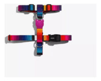 Arnés Para Perro Prisma H-harness Zeedog Talla Xs