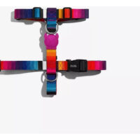 Arnés Para Perro Prisma H-harness Zeedog Talla Xs