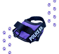 Arnes Police K9 Perros Pequeños Medianos Grandes Xs S M L Xl - Imagen 11
