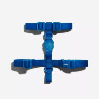 Arnés Para Perro Neopro Blue H-harness Zeedog Talla S