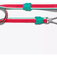Correa Para Perro Lola Leash Zeedog Talla L