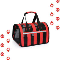 Bolso Transporte Mascotas Talla S 34x24x23 Pequeño Malla