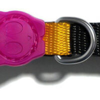Collar Gato Zeecat Prisma Ajustable Tamaño Del Collar Único Nombre Del Diseño Prisma Color Multicolor