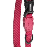 Zeedog Bordeau Collar Ajustable Perro, Small | Collar Zeedog