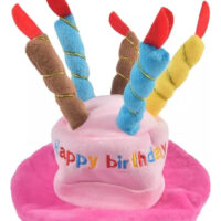 Gorro Fiesta Cumpleaños Mascotas Disfraz Perros Y Gatos