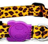 Collar Para Perros Zeedog Diseño Talla Large
