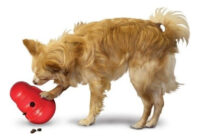 Kong Wobbler L - Perro - Juguete Rellenable Snacks - Imagen 7