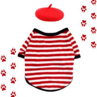 Disfraz De Francés Para Perros Y Gatos | Desde La S A 2xl