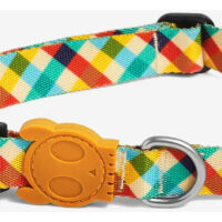 Collar Para Perro Phantom Zeedog Talla S