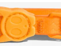 Zeecat Collar Neopro Tangerine | Talla Única