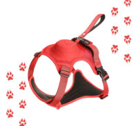 Arnés Para Perro Y Correa Retráctil Integrada | Talla M - Imagen 4