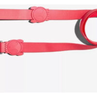 Correa Leash Neopro Bubblegum Zeedog Talla S